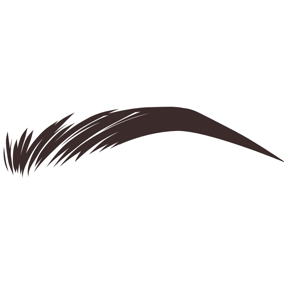 Alt Image